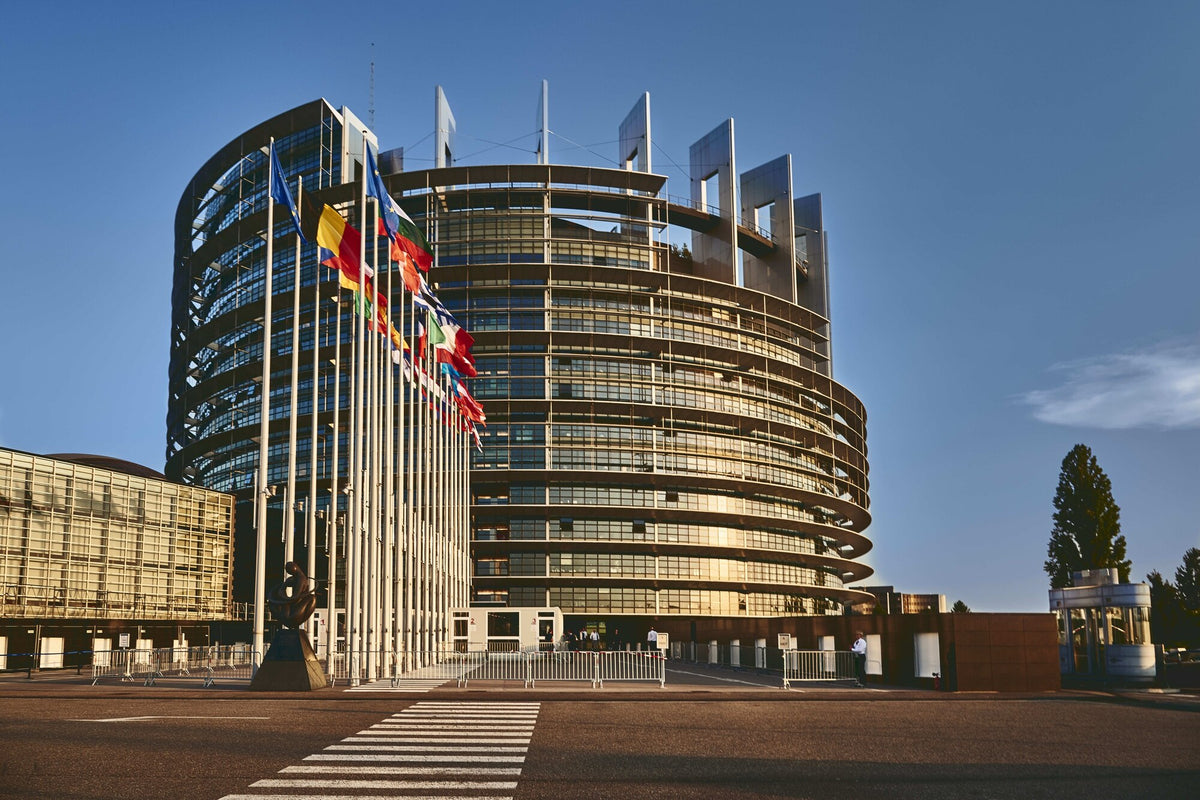 Discovering the European Parliament