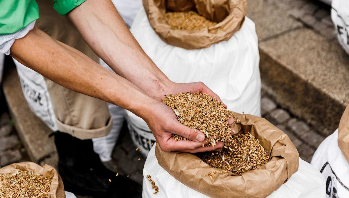 Crisi Alimentare Globale: L’UE si mobilita per fronteggiare le sfide poste dall’invasione Russa in Ucraina